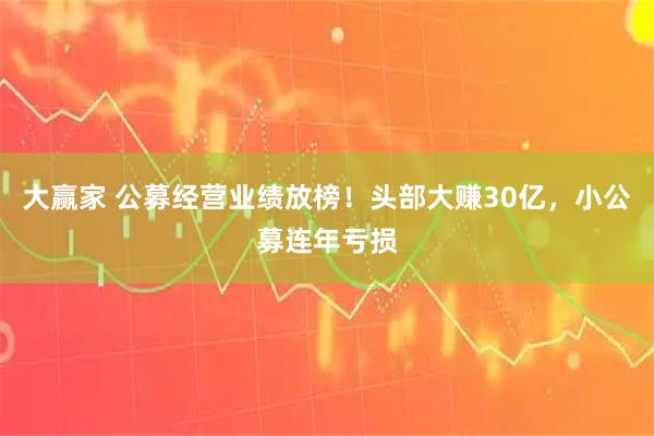 大赢家 公募经营业绩放榜！头部大赚30亿，小公募连年亏损