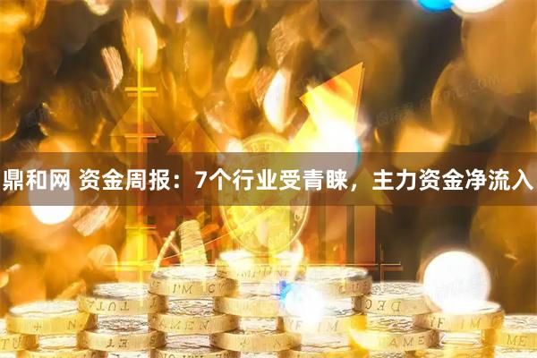 鼎和网 资金周报：7个行业受青睐，主力资金净流入